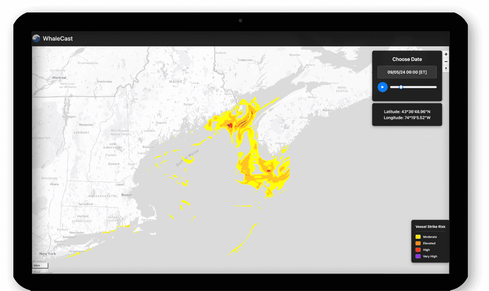 The WhaleCast Prototype's whale strike risk forecast map