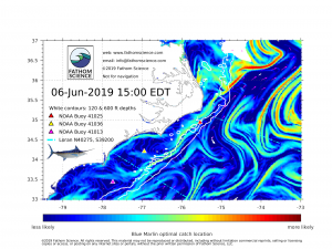 blue marlin catch likelihood map